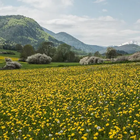 Maison - Chez Léontine Сasa de vacaciones